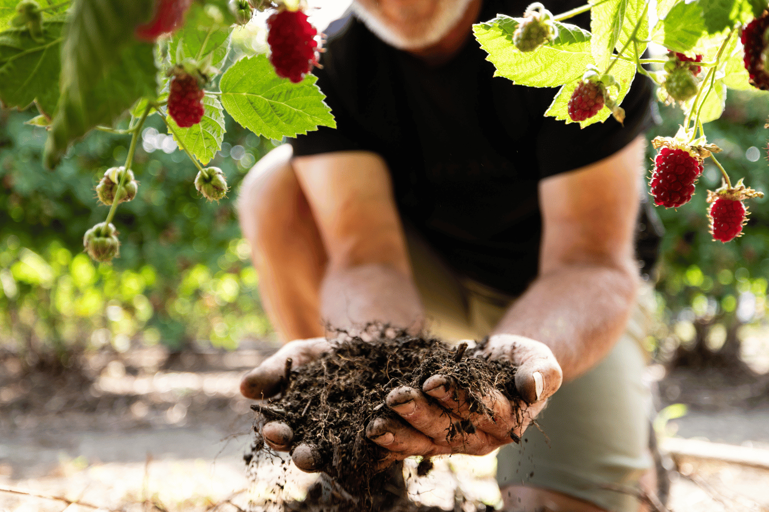 The health benefits of getting your hands dirty