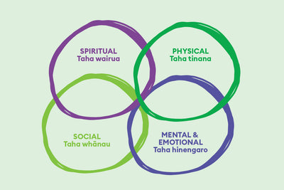 Caring for your Hauora: the four dimensions of wellbeing