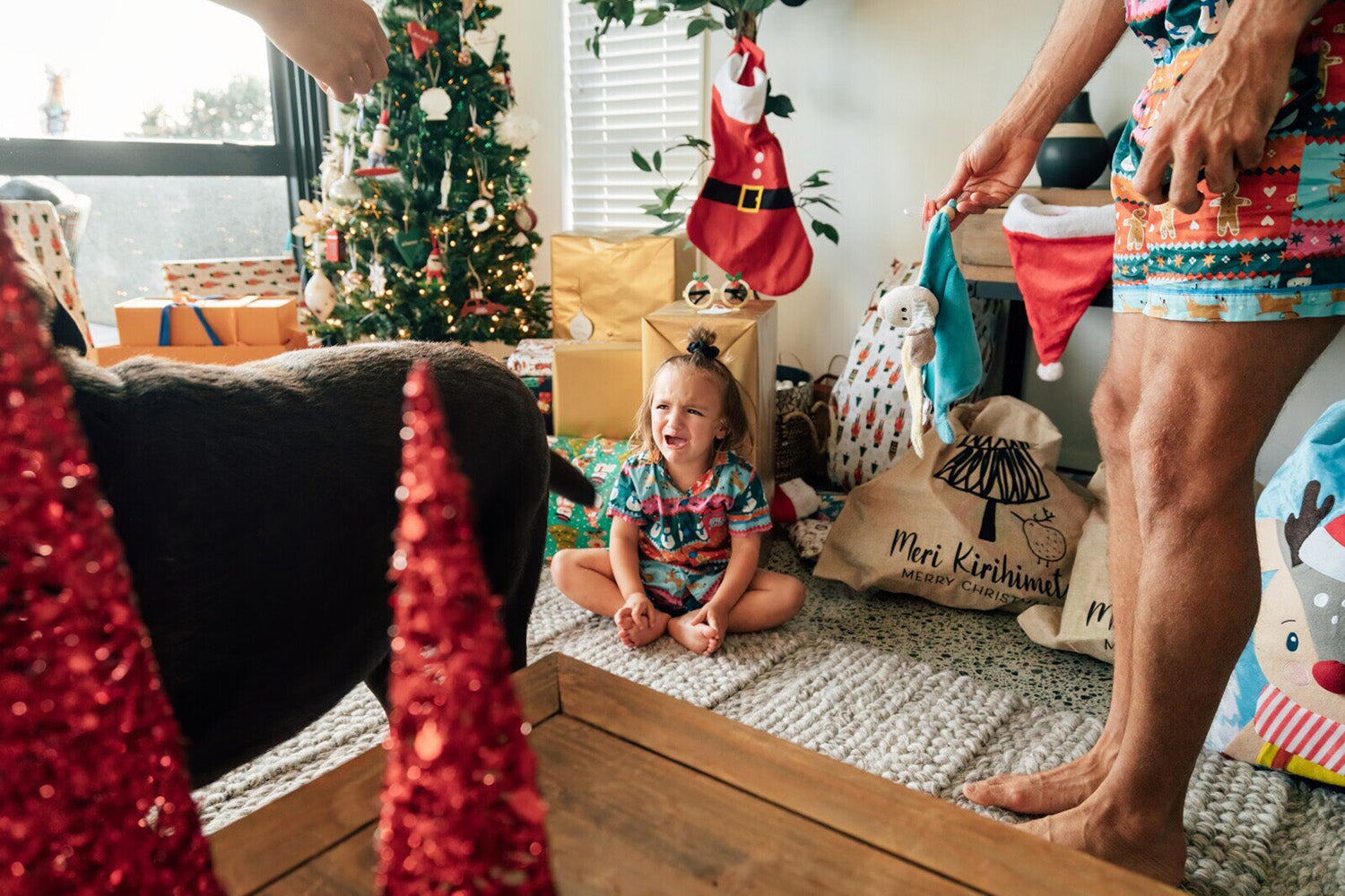 Surviving Christmas 101