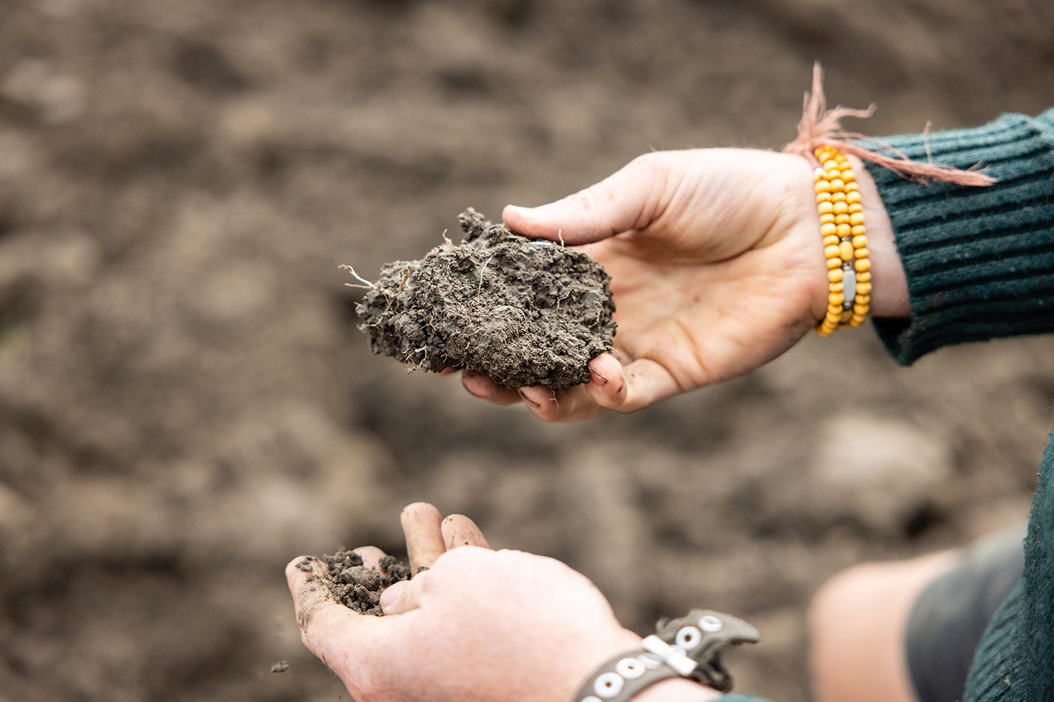 Dishing the dirt on organic