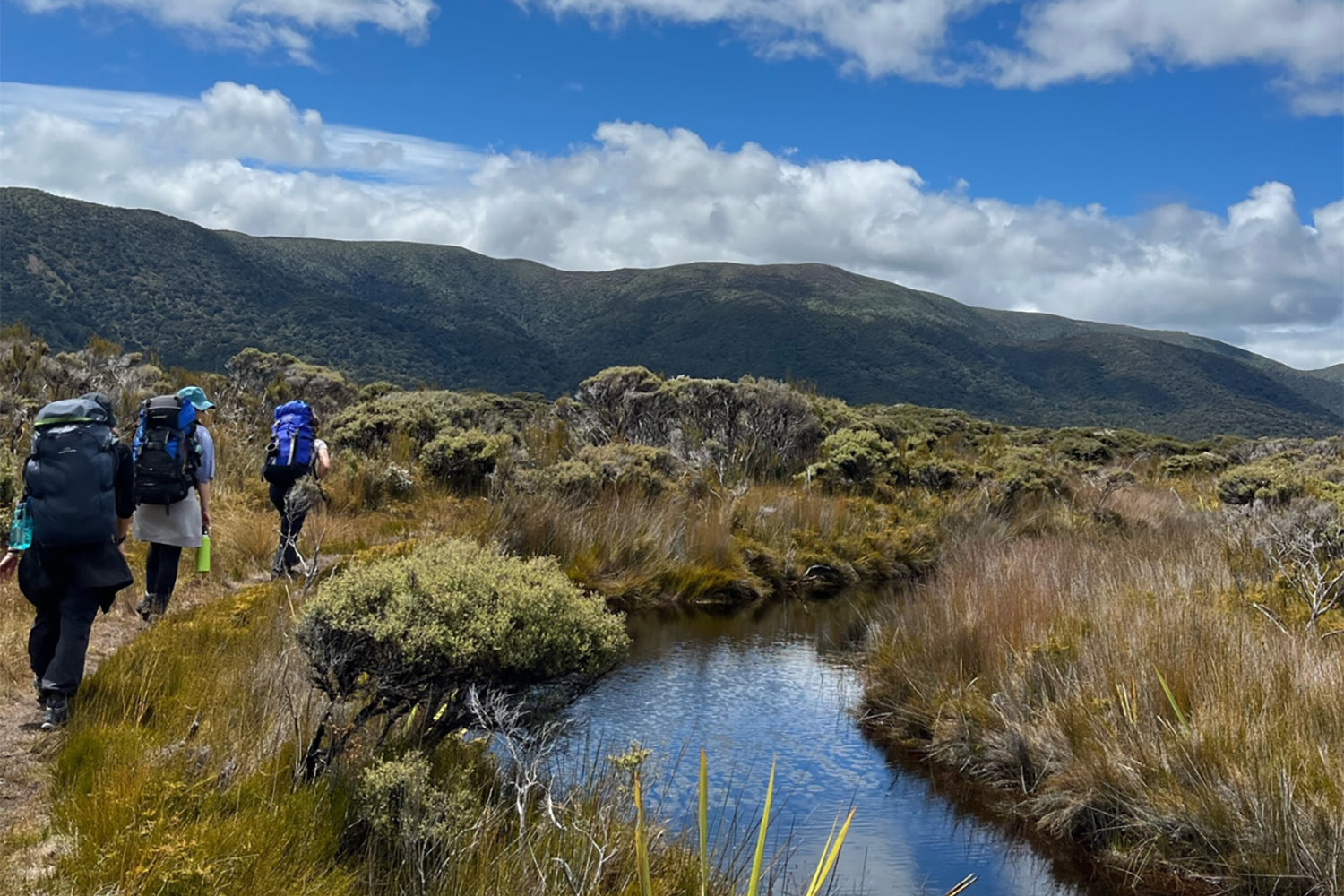 Natures healing touch