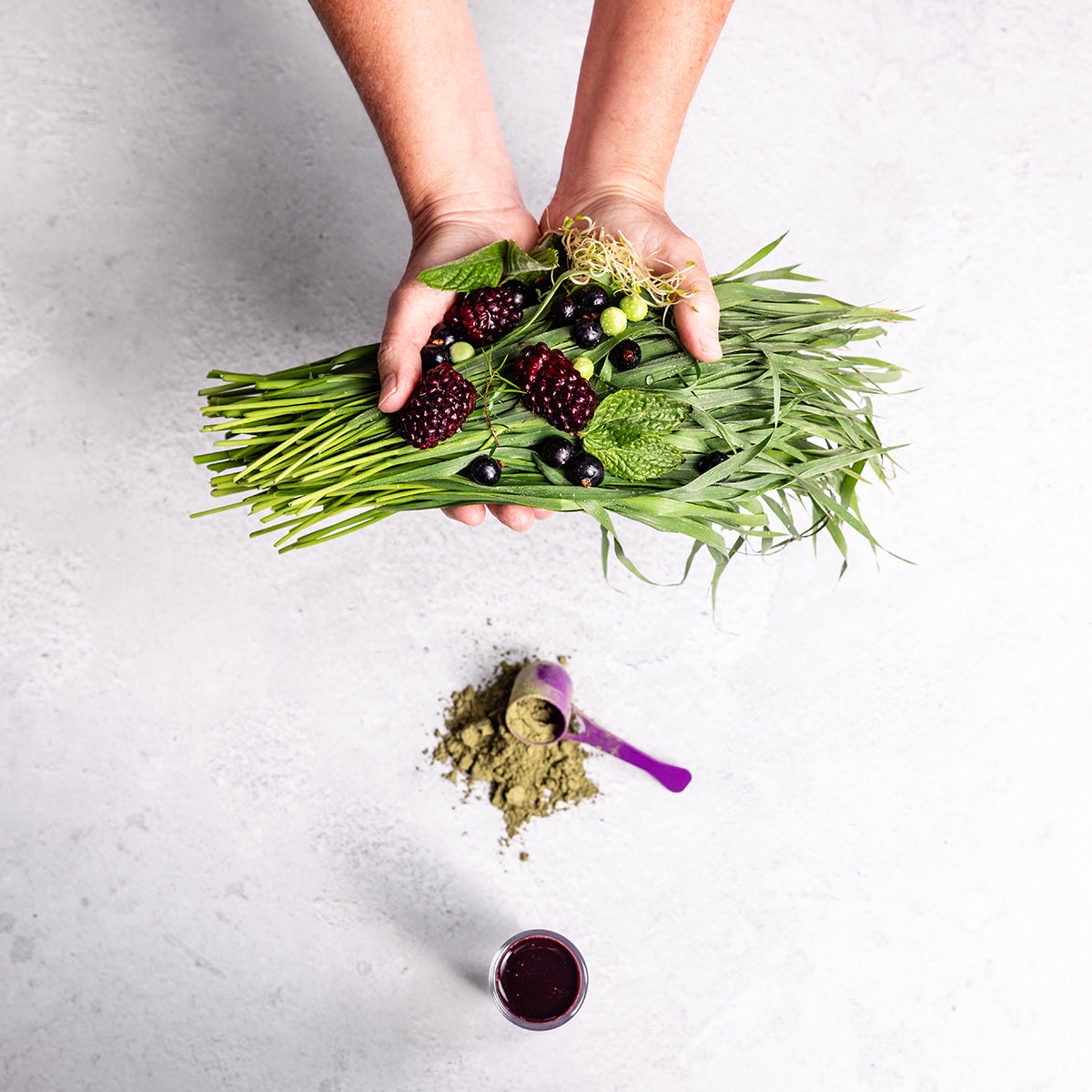 Nutrient Rescue Get Started Pack - Red & Green Superfood Powder ...